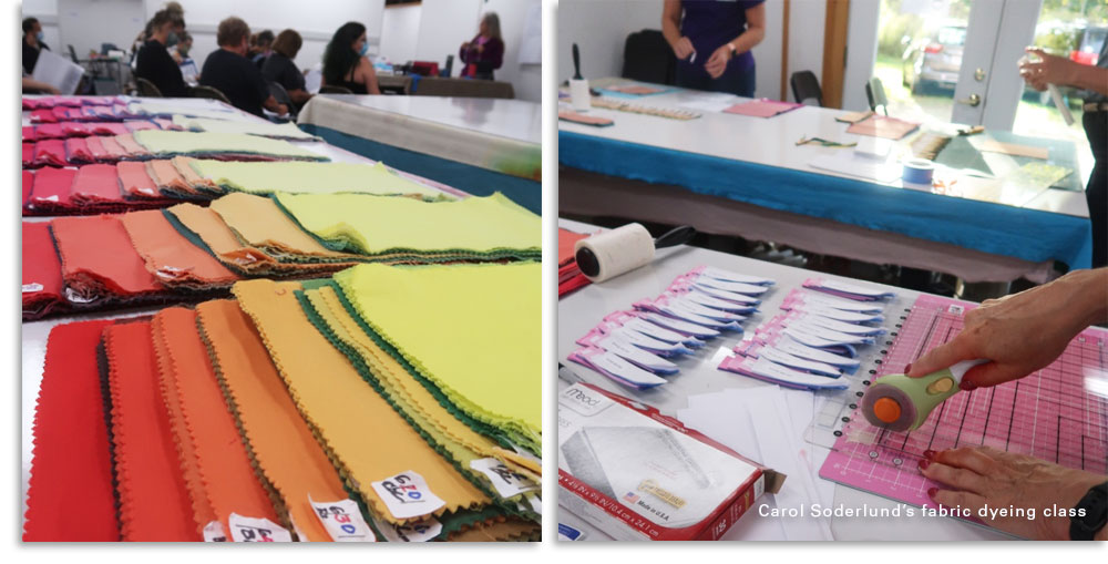 Carol Soderlund fabric dyeing workshops